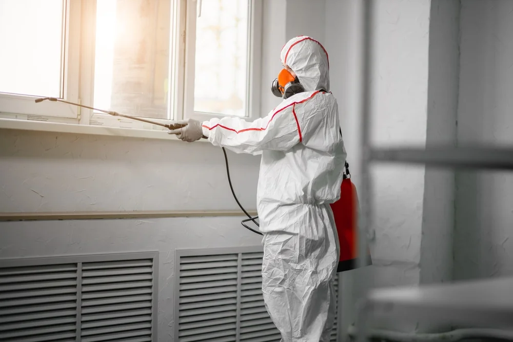Professional mold remediation services in Turtletown, TN